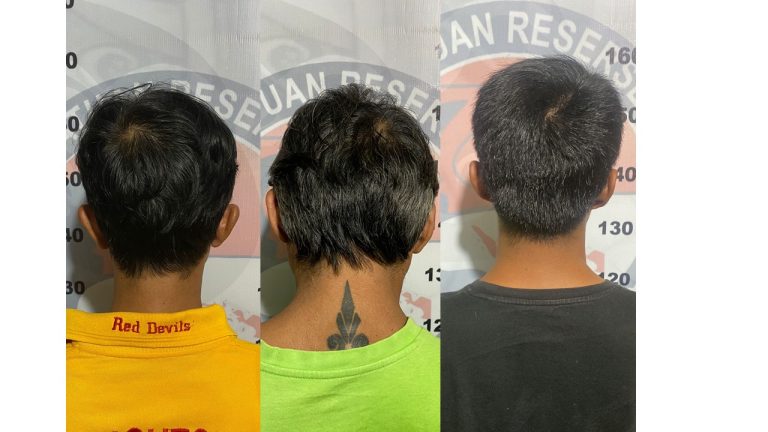 Tiga Pengedar Ganja Ditangkap Dalam Semalam