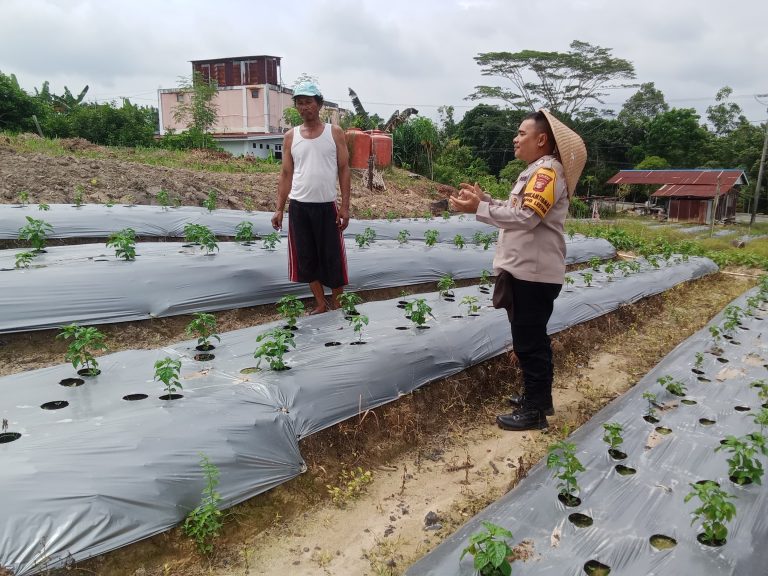 Bhabinkamtibmas Bontang Selatan Lakukan Pengecekan dan Pendampingan Program Pangan Pekarangan Bergizi di Kelurahan Bontang Lestari