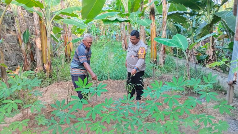 Dukung ketahanan pangan, Bhabinkamtibmas Berbas Pantai tinjau Pertanian Ketahanan Pangan  warga binaan