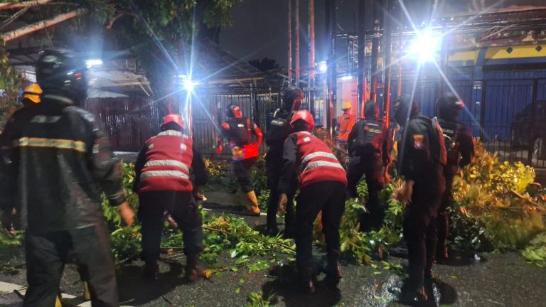 Brimob Evakuasi Pohon Tumbang Akibat Terjangan Hujan Deras di Gn. Samarinda Balikpapan
