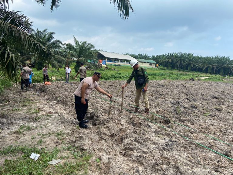 Polsek Muara Badak laksanakan Pengecekan Lahan Rencana Penanaman Jagung PT. TSB di Desa Saliki dalam Program Ketahanan Pangan