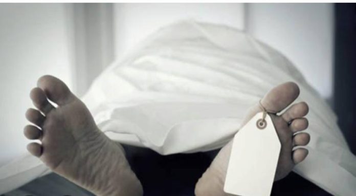 WhatsApp Image 2025-04-08 at 14.14.41