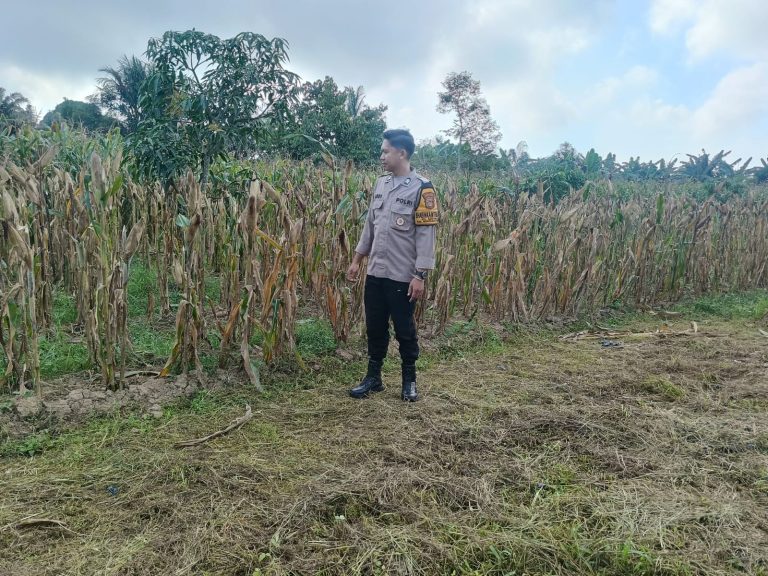 Polres Bontang Dampingi Petani di Bontang Utara, Tingkatkan Ketahanan Pangan dengan Pertanian Berkelanjutan