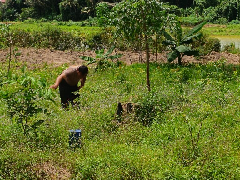 Kapolsek Bontang Barat dan Anggota Lakukan Perawatan Tanaman Cabai untuk Dukung Ketahanan Pangan