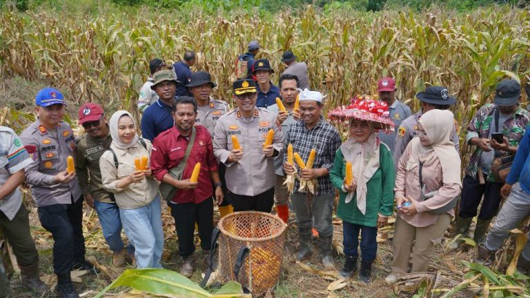 Dukung Swasembada Pangan 2025 : Polres Bontang Gelar Panen Raya Jagung serentak kuartal III di Desa Makarti