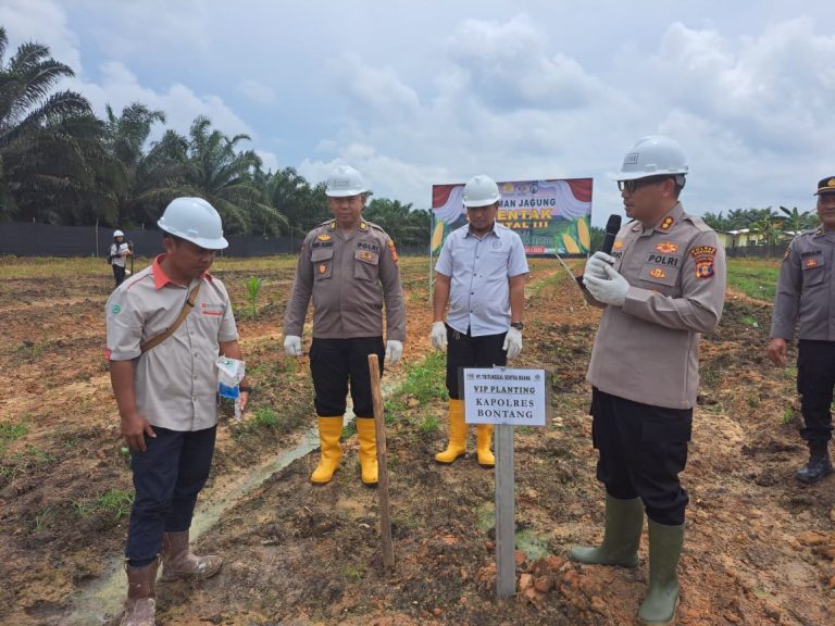 Penanaman Jagung Serentak, Sinergi Polres Bontang dan PT. TSB