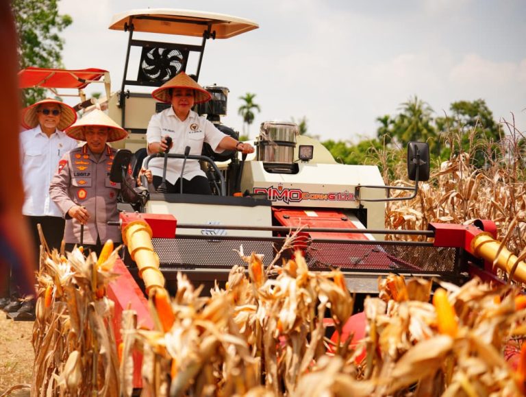 Panen Raya Jagung Kuartal III, Kapolri Tegaskan Komitmen Wujudkan Lumbung Pangan Dunia