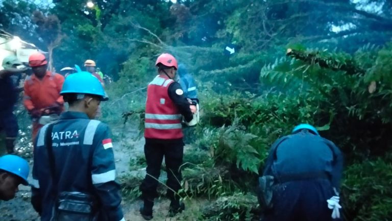 Terima Laporan dari Masyarakat, Tim Respons Bencana Sat Brimob Polda Kaltim Gerak Cepat Lakukan Evakuasi Pohon Tumbang