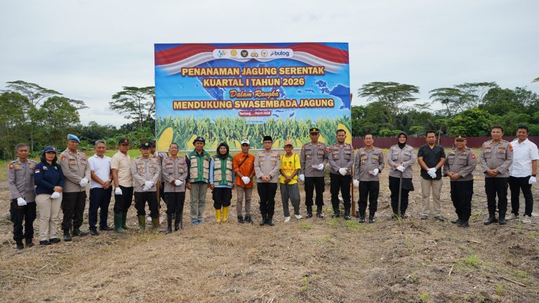 Penanaman Jagung Serentak Kuartal I Tahun 2026: Langkah Konkret Swasembada Pangan