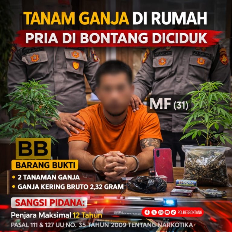 *Tanam Ganja di Rumah, Pria di Bontang Diciduk Satresnarkoba*