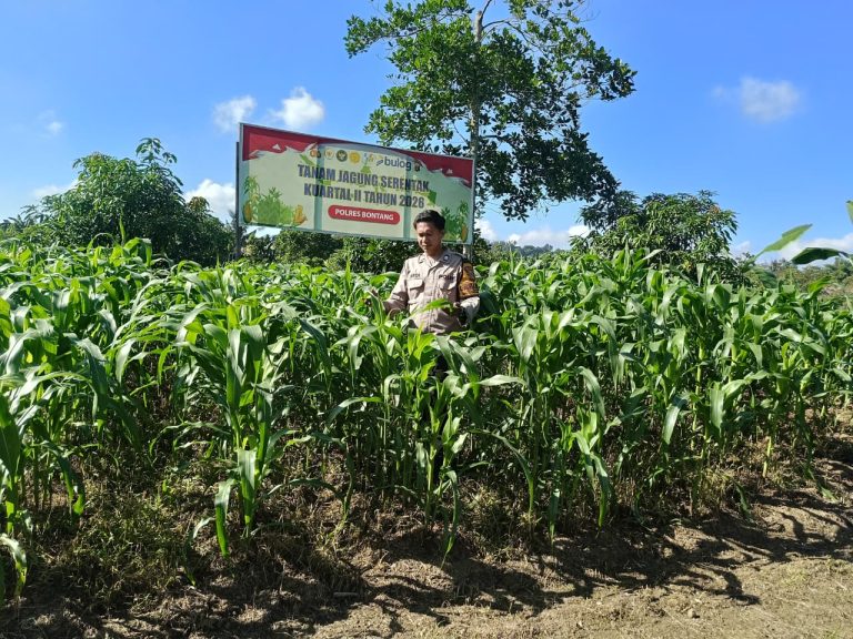 Polsek Bontang Utara Dampingi Petani Guntung Optimalkan Satu Hektar Tegalan untuk Tanam Jagung Dukung Ketahanan Pangan