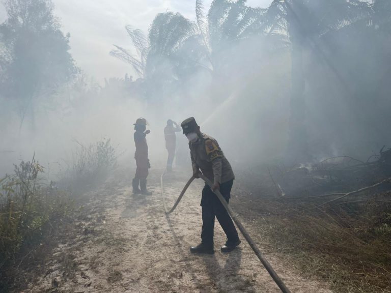 6 Hektare Terbakar, Tim Gabungan Berjibaku Jinakkan Karhutla di Muara Badak