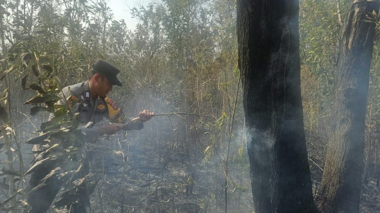 Semak Belukar Terbakar di Kawasan PHSS Muara Badak, Tim Gabungan Bergerak Cepat Kendalikan Api