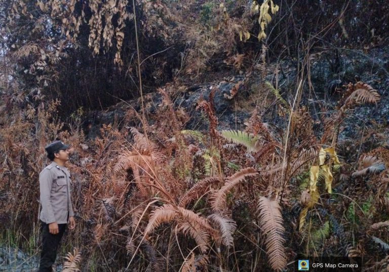 Api Padam, Polsek Marangkayu Lakukan Mitigasi Pasca Kebakaran Lahan