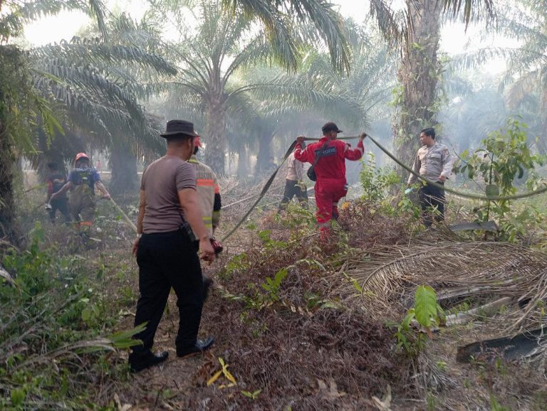 2,5 Hektare Lahan Terbakar di Bontang Lestari, Polisi Soroti Dugaan Aktivitas Pembukaan Lahan