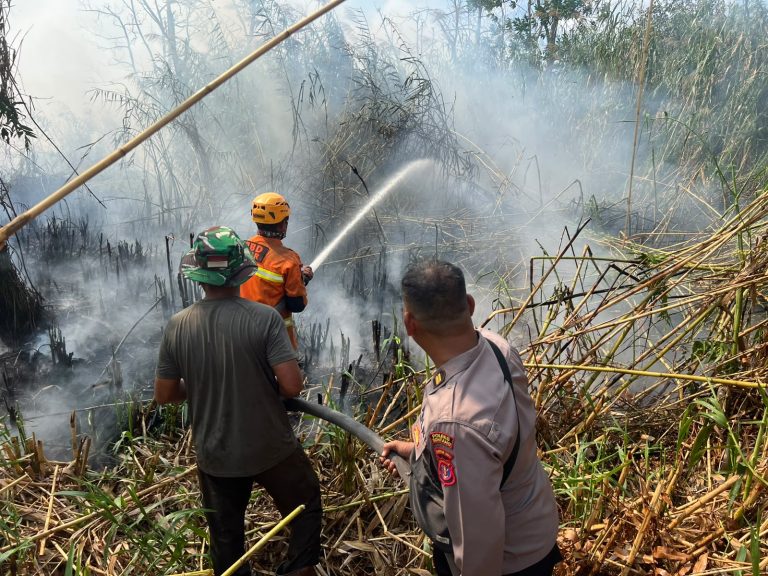 Kebakaran Lahan Gambut di Sungai Bawang, 7 Hektare Terbakar, Tim Gabungan Berjibaku Padamkan Api