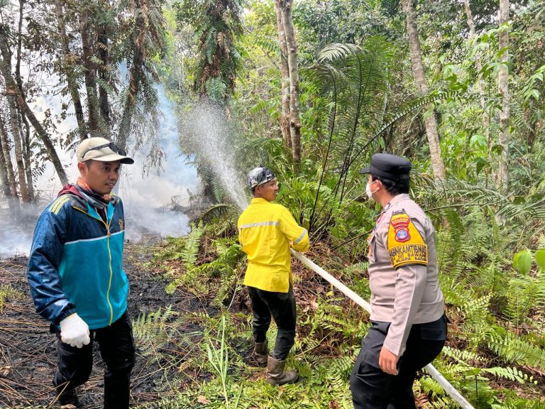Hotspot Terdeteksi, Kebakaran Lahan Gambut Hanguskan 5 Hektare